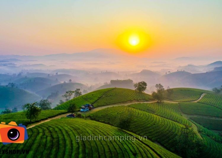 Đồi chè Long Cốc – Phú Thọ
