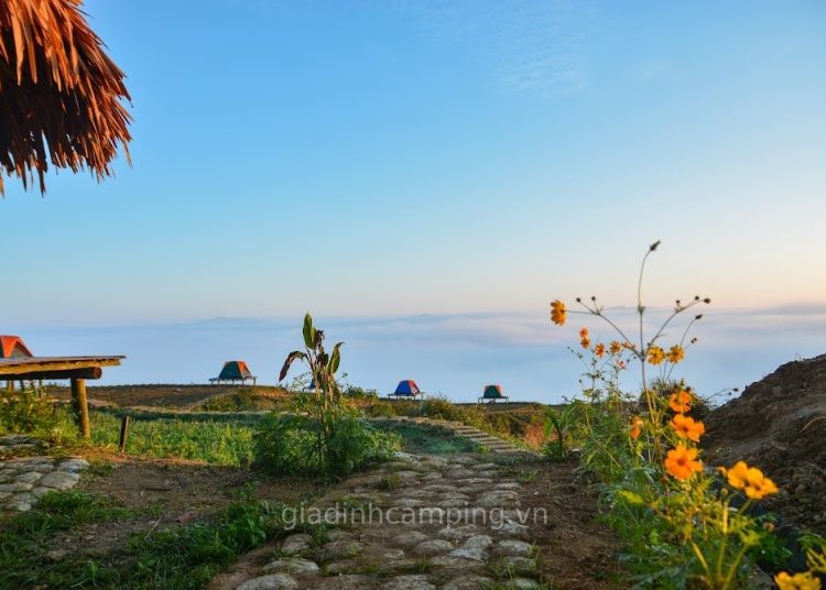 Nà Bai campsite – Vân Hồ, Sơn La